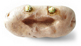 Kartoffelansigt